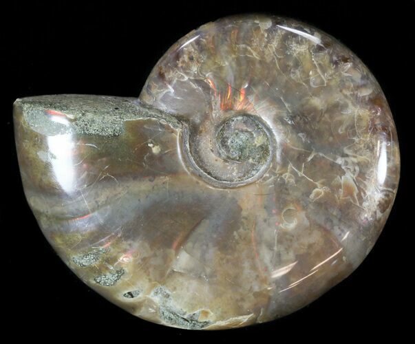 Flashy Red Iridescent Ammonite - Wide #52306
